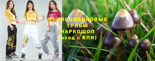мдпв Арсеньев
